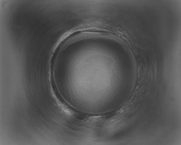 X0000068280054200604211121