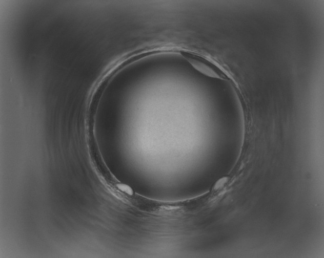 X0000068280055200604211122
