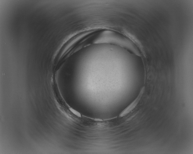 X0000068280060200604211122