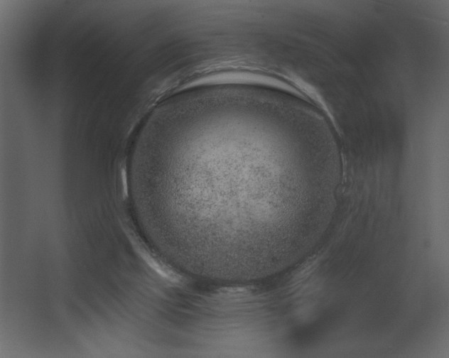 X0000068280061200604211122