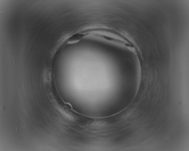 X0000068280063200604211122