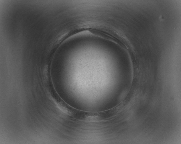 X0000068280066200604211122