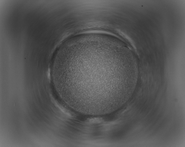 X0000068280067200604211122