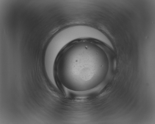 X0000068280068200604211122