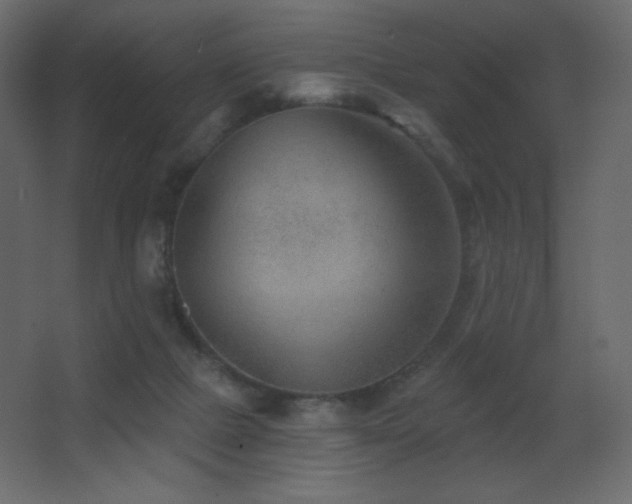 X0000068280073200604211122