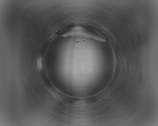 X0000068280075200604211122