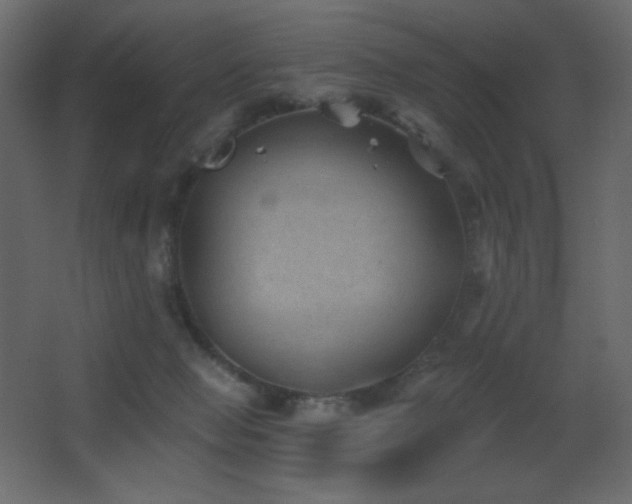 X0000068280077200604211122