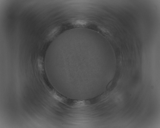 X0000068280083200604211122