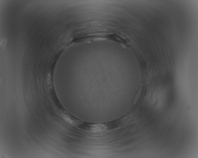 X0000068280087200604211122