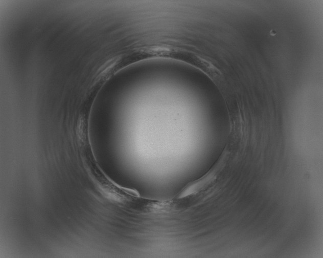 X0000068280092200604211122