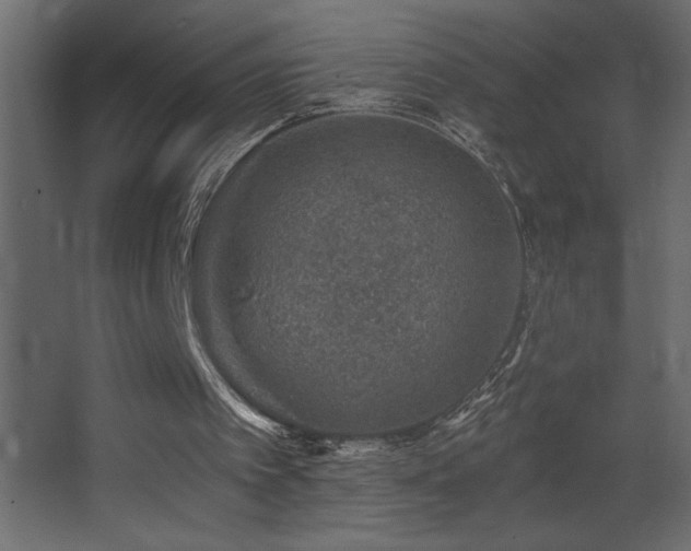 X0000068280097200604211121