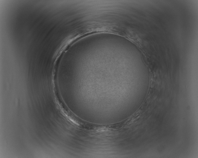 X0000068280098200604211121