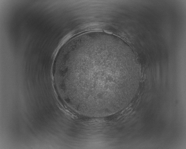 X0000068280099200604211121