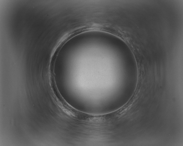 X0000068280102200604211121