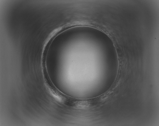 X0000068280104200604211121