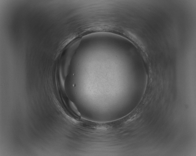 X0000068280105200604211121