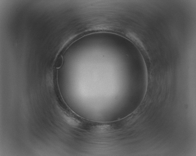 X0000068280108200604211121