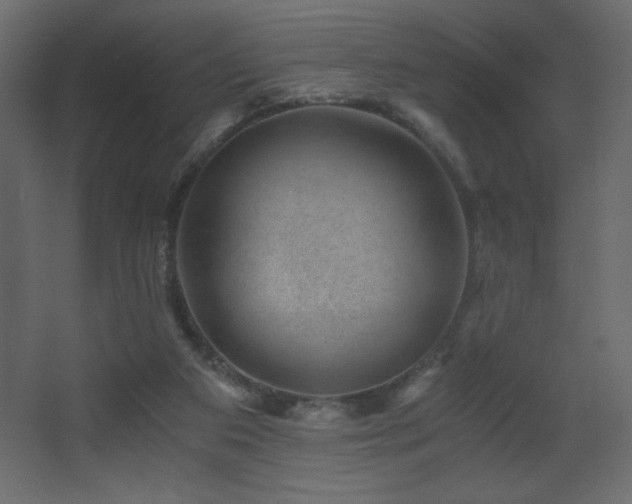 X0000068280113200604211121