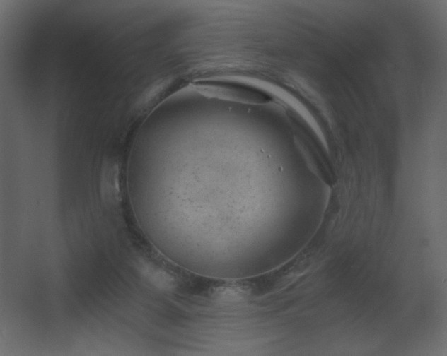 X0000068280115200604211121