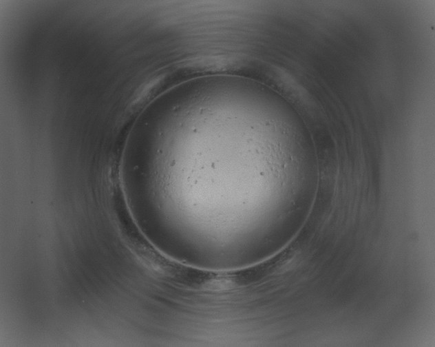 X0000068280119200604211121