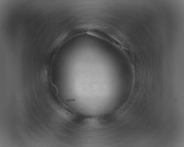 X0000068280120200604211121