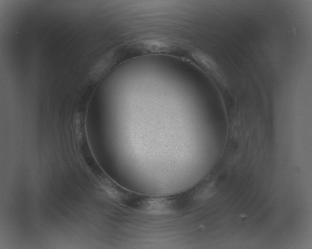 X0000068280121200604211121