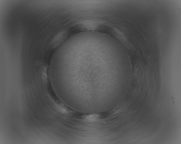 X0000068280122200604211121