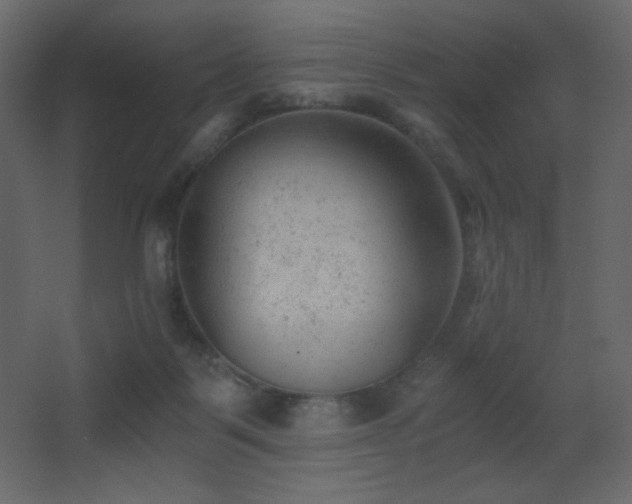 X0000068280123200604211121