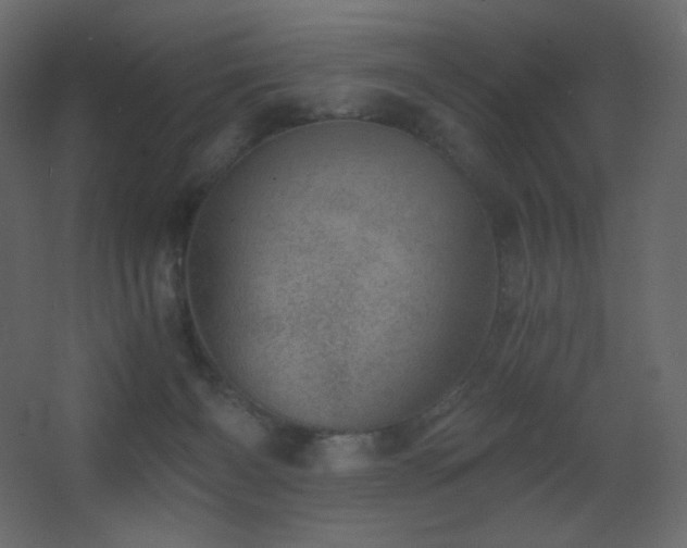 X0000068280126200604211121