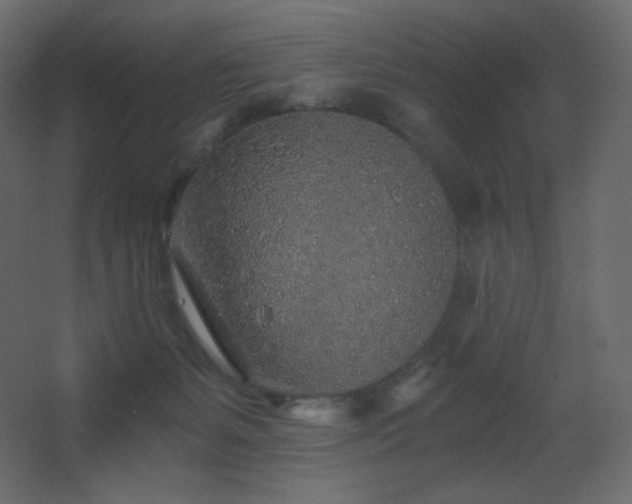 X0000068280127200604211121
