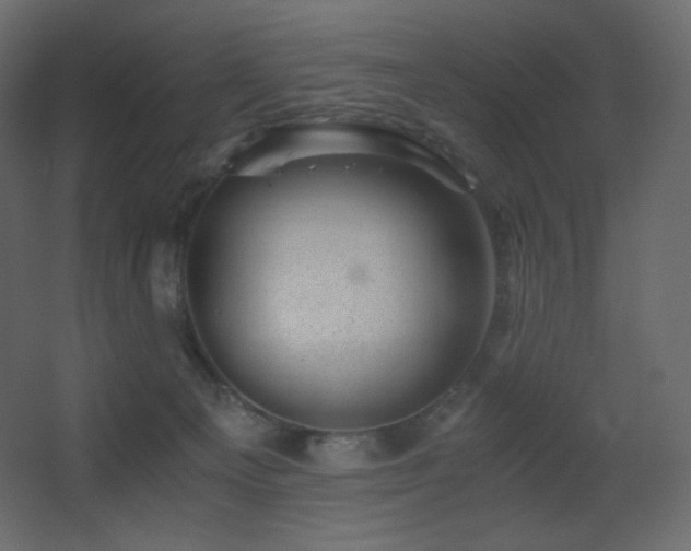 X0000068280129200604211121