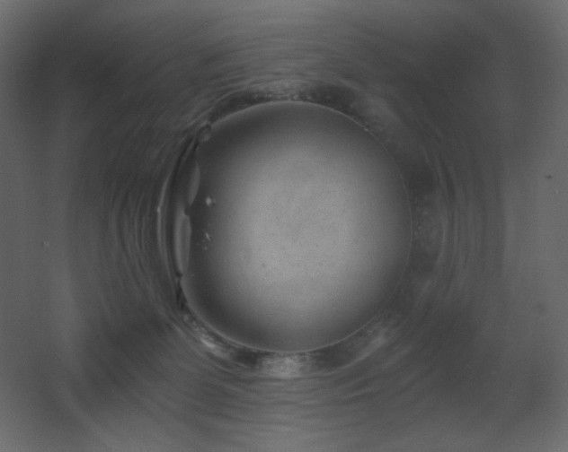 X0000068280131200604211121
