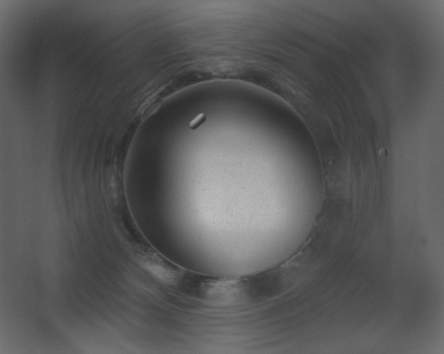 X0000068280132200604211121