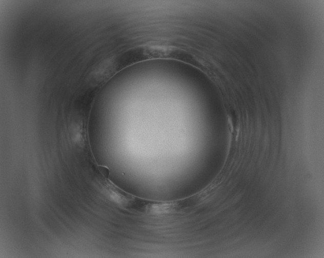X0000068280134200604211121