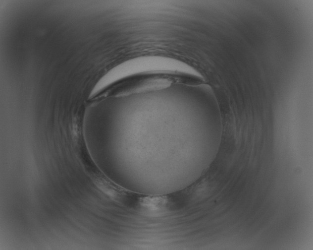 X0000068280135200604211121