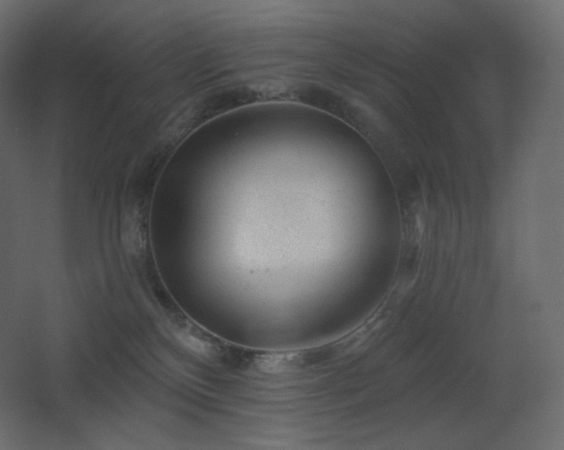 X0000068280136200604211121