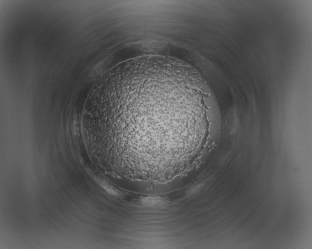 X0000068280137200604211121