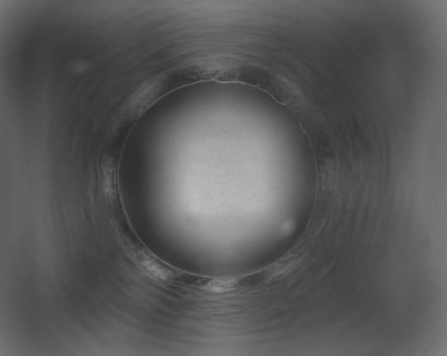 X0000068280138200604211121