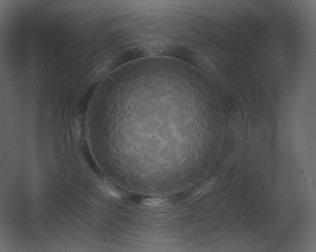 X0000068280139200604211121