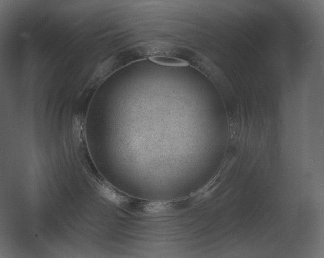 X0000068280142200604211121