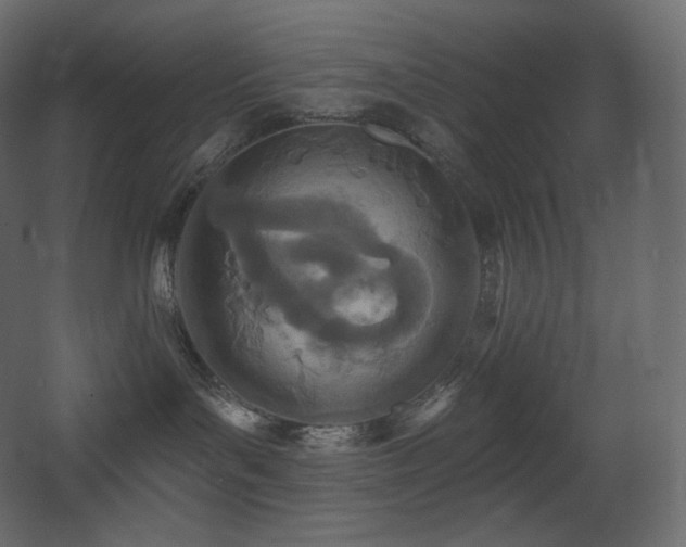 X0000068280143200604211121