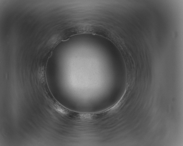 X0000068280144200604211121