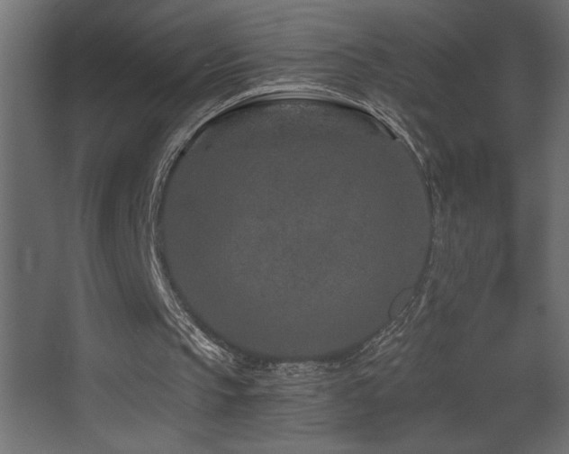 X0000068280145200604211120