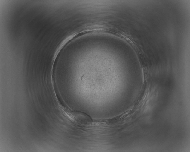 X0000068280147200604211120