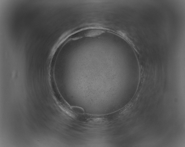 X0000068280151200604211120
