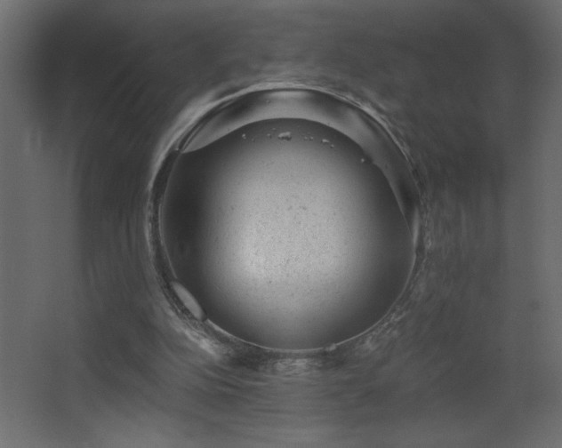 X0000068280152200604211120