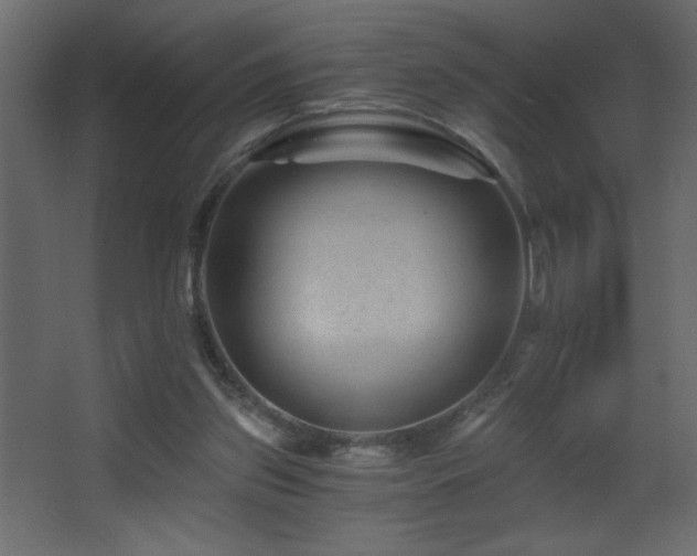 X0000068280157200604211120