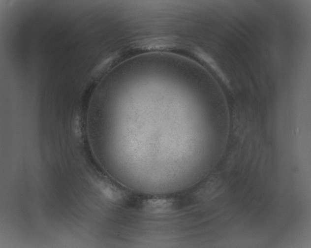 X0000068280161200604211120
