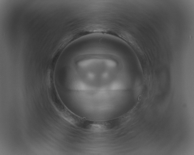 X0000068280167200604211120