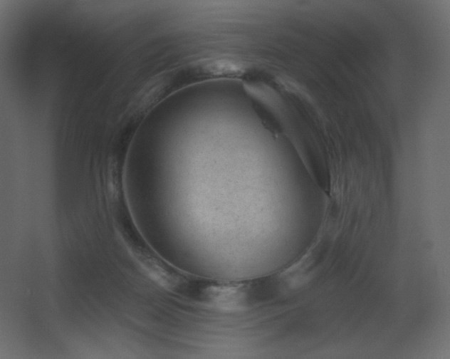 X0000068280170200604211120